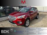 Ford Kuga 1,5 TDCI Titanium*Xenon/Navi/Leder/Garantie - Ford Kuga: Tdci Titanium