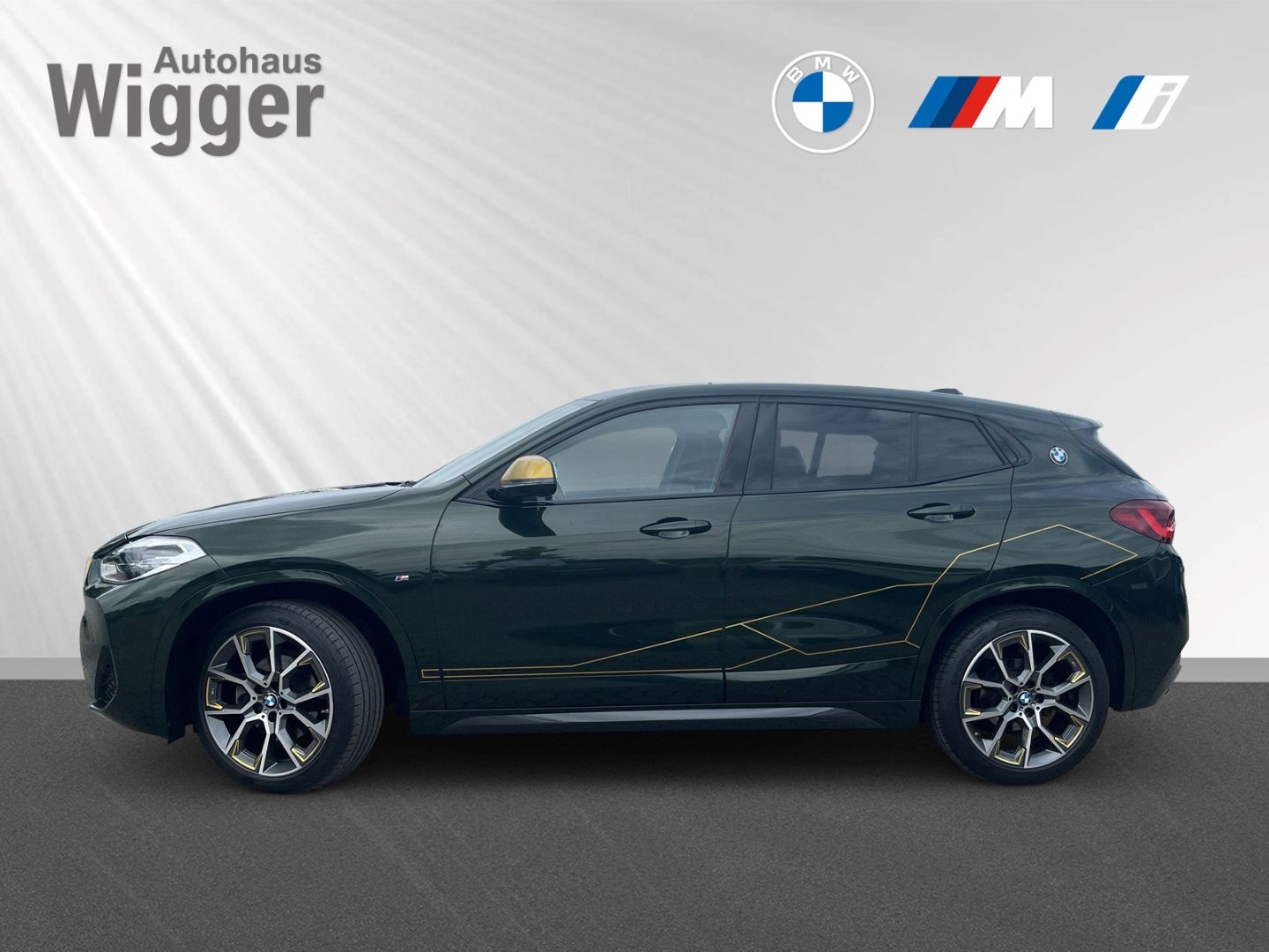 BMW X2 sDrive 18d M Sport Navi HarmanKardon LED SHZ foto 2