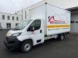 Fiat Ducato 14.800km, TÜV neu, Humbaur FlexBox  - Fiat Ducato in Leverkusen