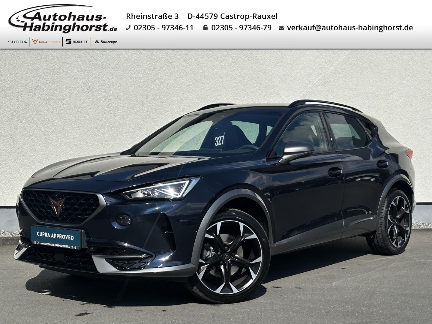 Cupra Formentor 2.0 TSI DSG 4Drive Navi PDC 360 ACC Be