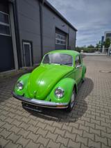 Volkswagen Käfer - Volkswagen Käfer: Kleinwagen