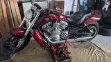 Harley-Davidson V-Rod Muscle - Offers