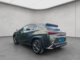 Lexus UX 250h F-Sport Design - Lexus UX: F Sport Design