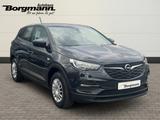 Opel Grandland Turbo EU6d-T , Selection 1.2 Direct In - Opel Grandland (X) Gebrauchtwagen in Mülheim (Ruhr)