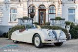 Jaguar XK 120 - Jaguar XK: Xk120