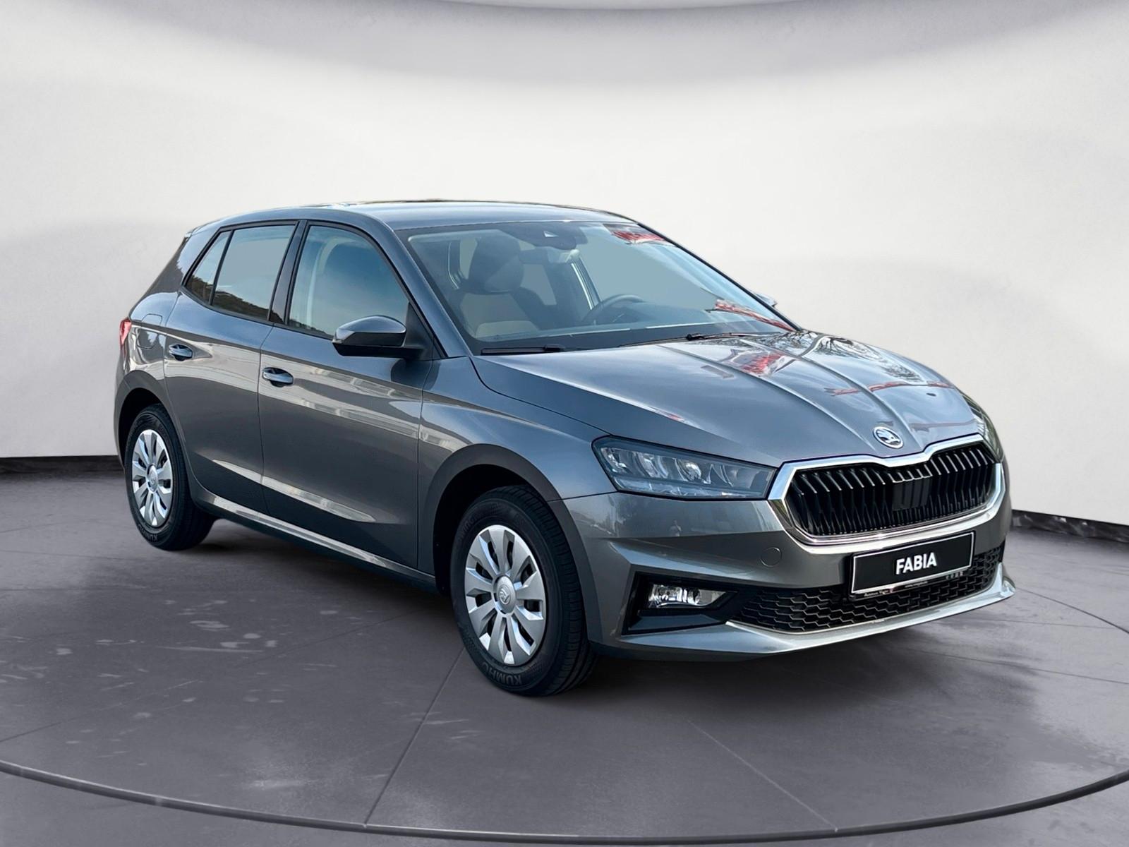 Skoda Fabia Selection SHZ/LED
