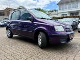 Fiat Panda City 1.2 8V Dynamic *1.Hand*TÜV NEU* - Fiat Panda Gebrauchtwagen in Bremen