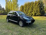 Citroën C3 Pluriel Cabrio | Leder, Klima, ... - Citroën C3: Cabrio, Pluriel