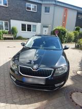 Skoda Octavia 3 Kombi (5E) Zahnriemen & Kü... - Skoda Octavia: Zahnriemen