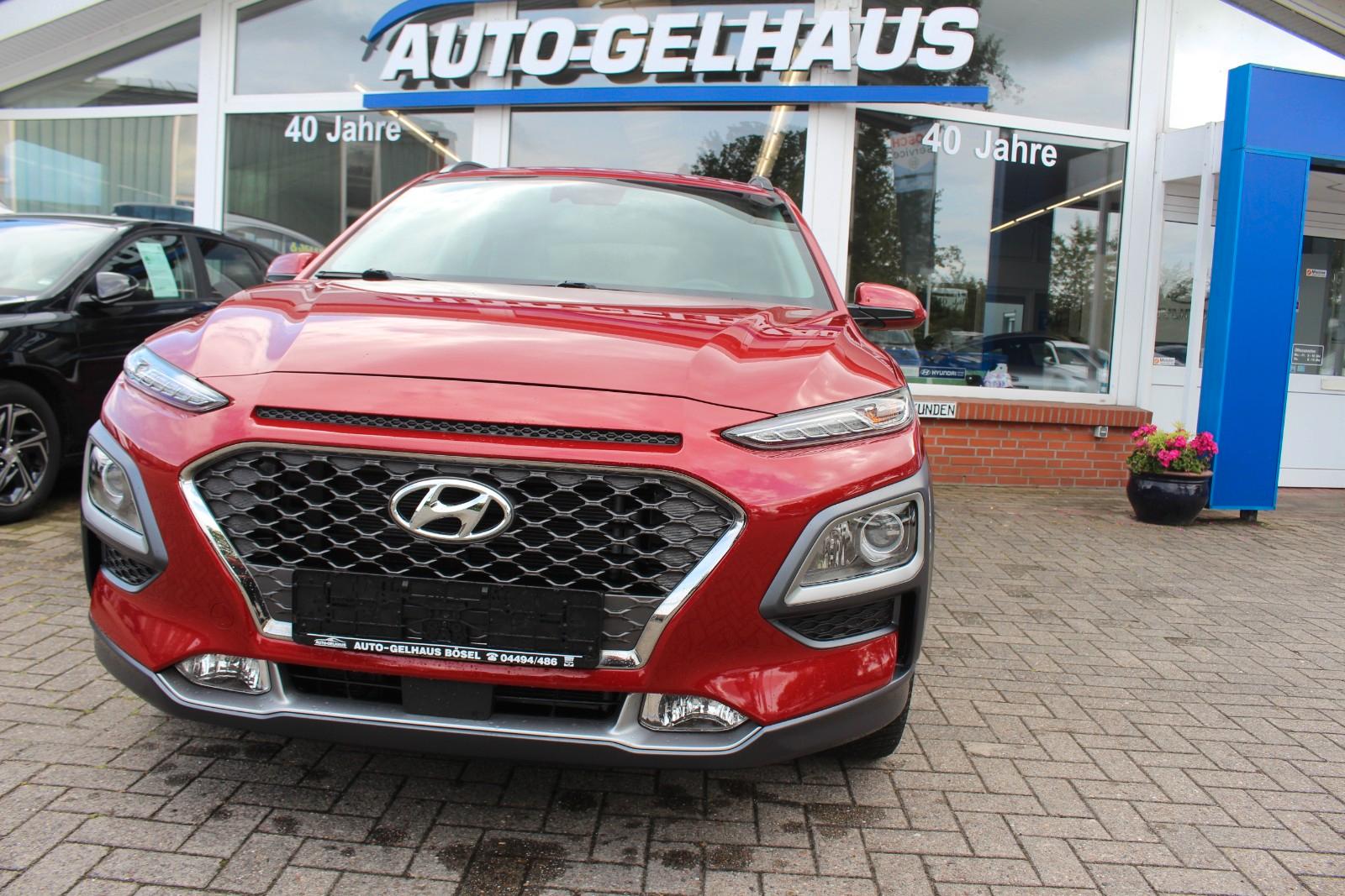 Hyundai Kona 1,6 Hybrid Style Navi+RFK,Sitz+Lenkradhzg