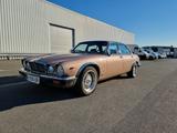 Jaguar XJ12/Serviceheft/H-Kennzeichen/TÜV NEU - Jaguar Gebrauchtwagen von 1985