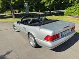 Mercedes-Benz SL 280 SL - Mercedes-Benz SL 280 mit Benzin-Antrieb: Cabrio, Automatik