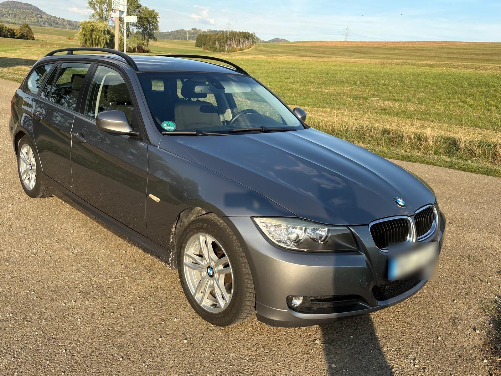 BMW 318 2009 — салон