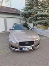 Jaguar XF 30d 300PS Portfolio Automatik Portfolio - Jaguar XF: Portfolio