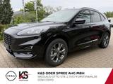 Ford Kuga 2.5 Duratec Hybrid FHEV ST-Line X - Ford Kuga FHEV Gebrauchtwagen
