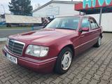 Mercedes-Benz 220 e220 *oldtimer sehr sauber* - Mercedes-Benz 220: Rot