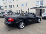 Mercedes-Benz CLK 200 K. Cabrio*LEDER/KLIMA/TOP ZUSTAND* - Mercedes-Benz CLK 200 Gebrauchtwagen in Stuttgart