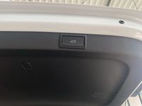 Skoda Octavia - Vorschau Bild 19