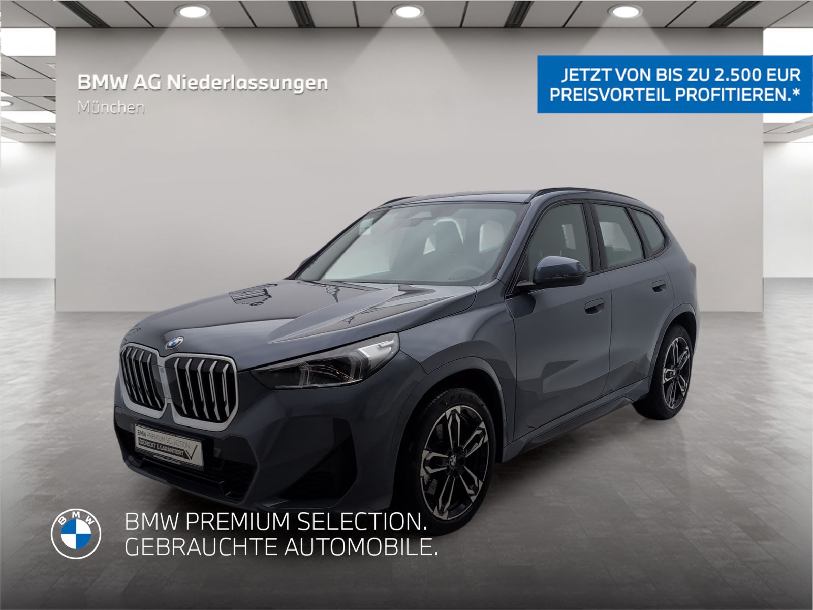 BMW X1 - Bild 1