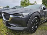 Mazda CX-30 2,5 MHEV Homura el.Heckkl. LED Kamera ... - Mazda CX-30 Jahreswagen