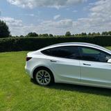 Tesla Model 3 Standard-Reichweite Plus - Hinterrad... - Tesla Model 3 in Köln