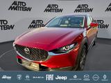 Mazda CX-30 2.0 SKYACTIV-X M Hybrid Selection 2WD - Mazda CX-30 in Bielefeld
