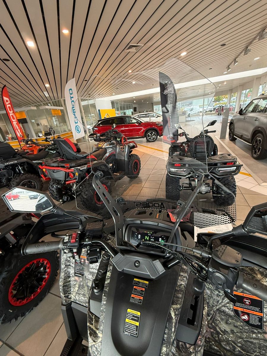 Fahrzeugabbildung Odes Pathcross 650 luxury edition