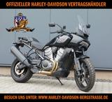 Harley-Davidson RA1250 MY22 Pan America Standard - HARLEY-DAVIDSON PAN AMERICA 1250 ST