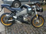 Buell XB12R - Angebote entsprechen deinen Suchkriterien
