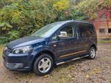 Volkswagen Caddy 1,6TDI 75kW DSG Roncalli 5-Sitze Roncalli - VW Caddy Gebrauchtwagen in Magdeburg