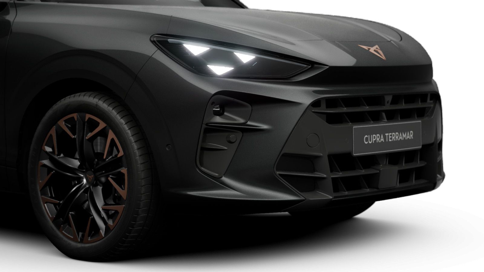 Cupra Terramar - Bild 7