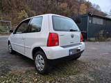 Volkswagen Winterauto VW Lupo Princeton 1.0l 50PS Win... - Volkswagen Lupo Princeton mit Benzin-Antrieb