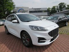FORD Kuga Hybrid ST-Line Bild 2