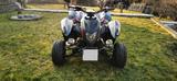 Adly 450 Supermoto *Liebhaber Fahrzeug* - Offers matching your search criteria