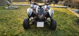 Adly 450 Supermoto *Liebhaber Fahrzeug* - Offers matching your search criteria