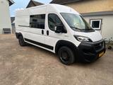 Fiat Ducato - gebrauchte Fiat Ducato aus dem Jahr 2021