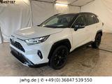 Toyota RAV4 Hybrid Style|LED+|Virtual|360|ACC|TechnikP - Toyota RAV 4 aus 2025