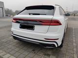 Audi Q8 50 TDI quattro tiptronic Modell 2019  - weiße Audi Q8