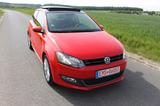 Volkswagen Polo 1.2 TSI DSG LIFE Xenon Panorama Dach