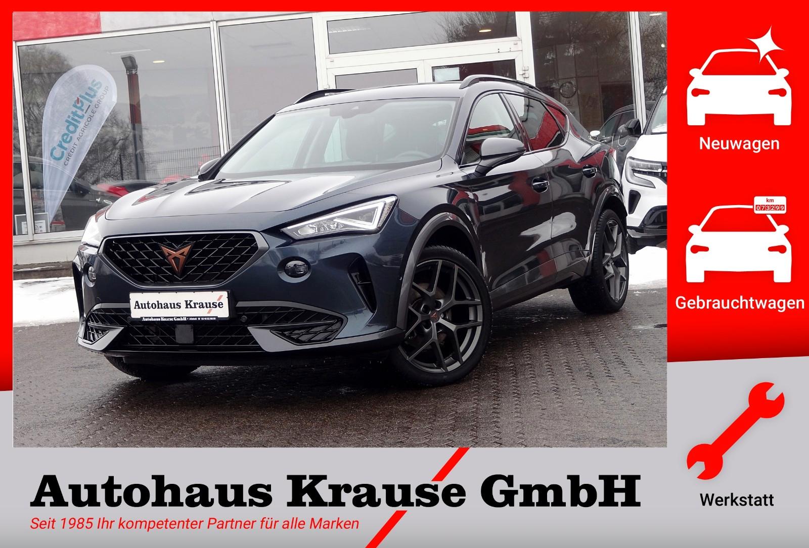 Cupra Formentor 1.5TSI-1.HD/SOR+WIR/NAVI/PARKLENK/RÜFK