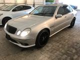 Mercedes-Benz E 55 AMG AMG - Mercedes-Benz E 55 AMG: Limousine