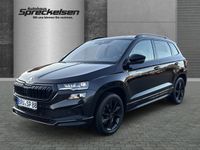 Skoda Karoq - Vorschau Bild 1