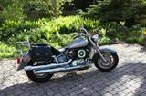 Yamaha Drag Star 1100 - YAMAHA Drag-Star