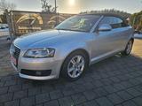 Audi A3 Ambition 1.8 TFSI / Leder / Xenon / TOP - Audi A3 8L mit Benzin-Antrieb