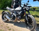 Ducati Scrambler 800 Icon Dark - Service neu - - DUCATI 800