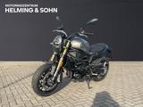 Benelli LEONCINO 800 - BENELLI LEONCINO 800