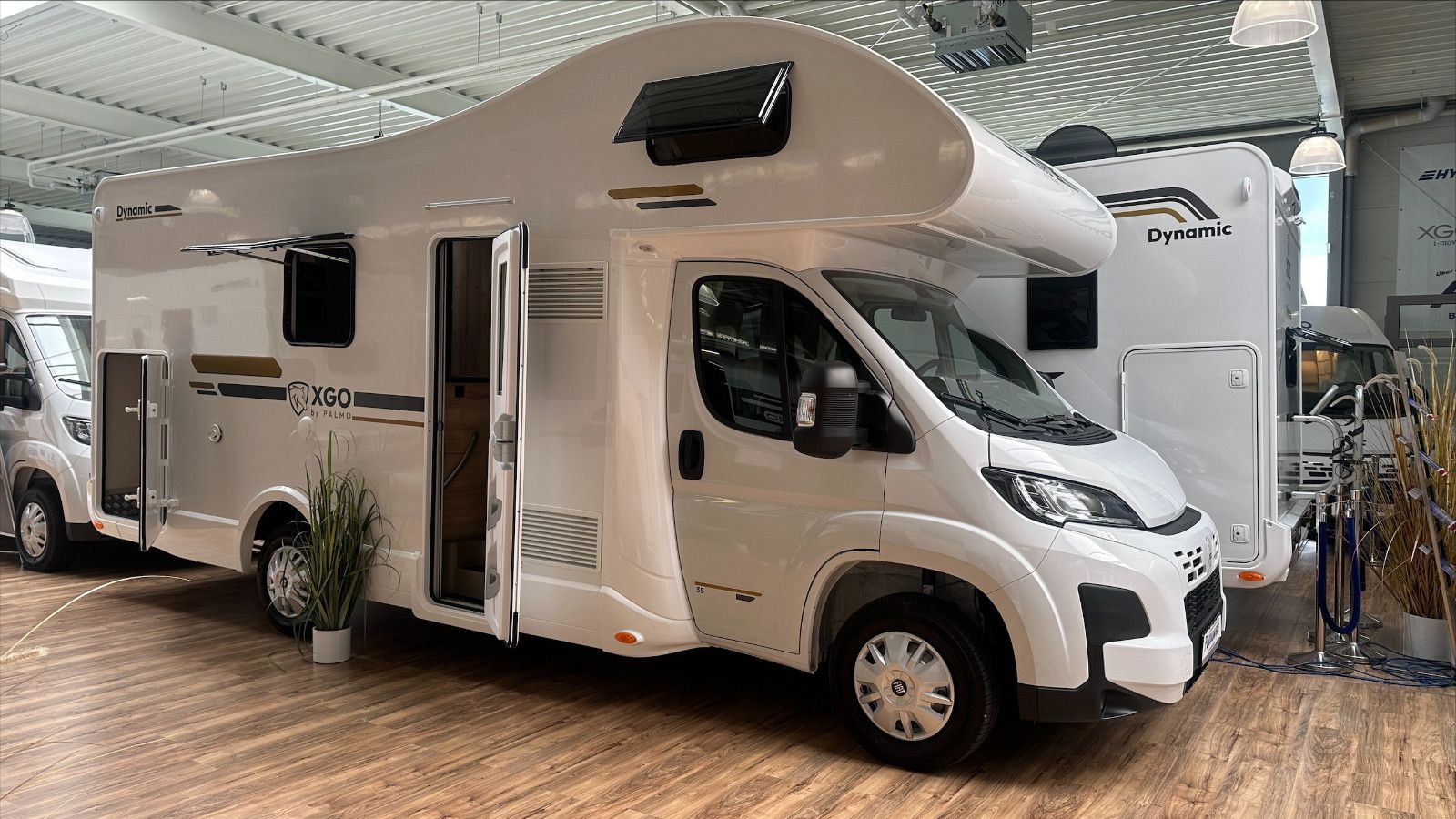 Fahrzeugabbildung XGO Dynamic 35 - Modell 2026