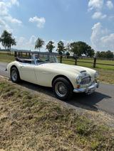Austin Healey Andere - Austin Healey aus 1966