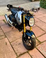 Honda MSX 125 Grom JC92, EZ 05/24, 1.420km, Extras