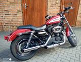 Harley-Davidson Sportster Roadster XL  - HARLEY-DAVIDSON ROADSTER